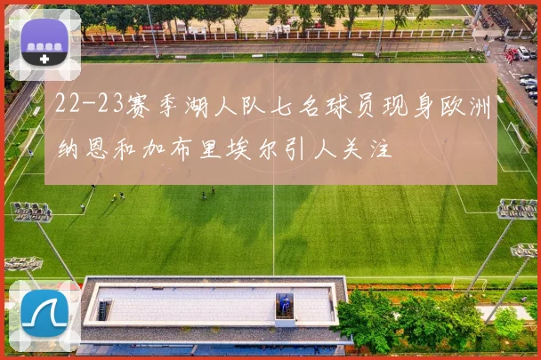 22-23赛季湖人队七名球员现身欧洲纳恩和加布里埃尔引人关注