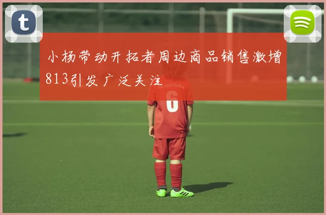 小杨带动开拓者周边商品销售激增813引发广泛关注